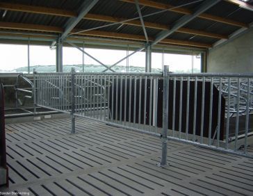 Fixed partition barrier for young stock